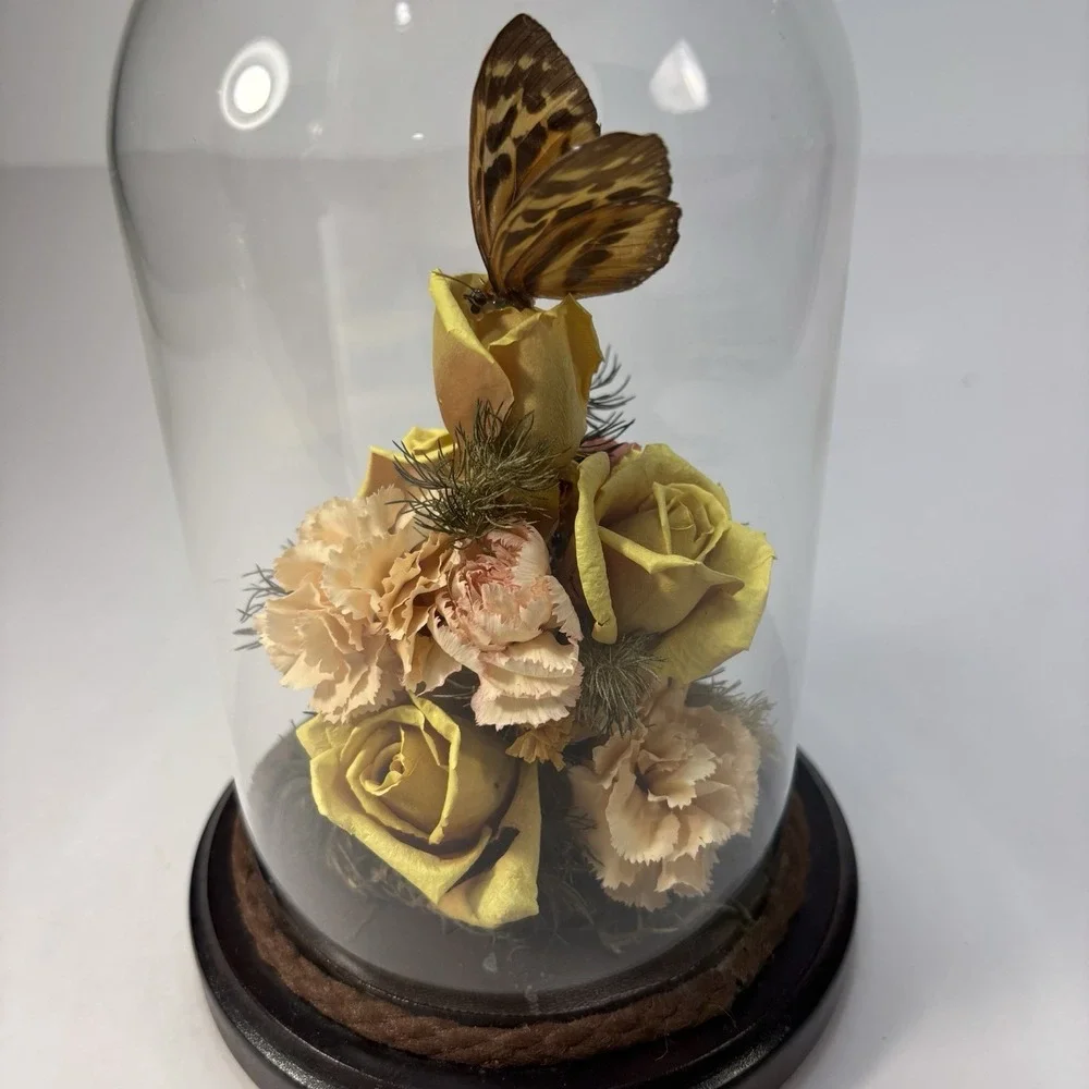 Vtg Dried Flower & Butterfly Bee Domed‎ Diorama Cloche MCM Decor Wood Base 7.5
